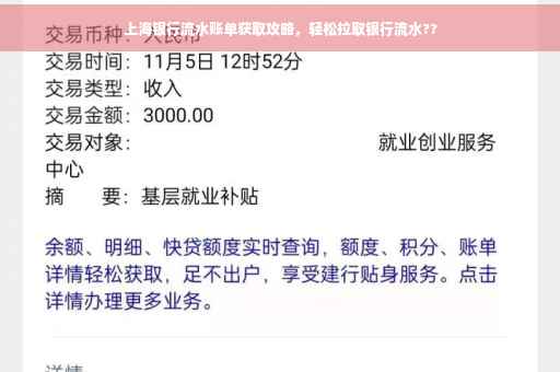 上海银行流水账单获取攻略，轻松拉取银行流水??