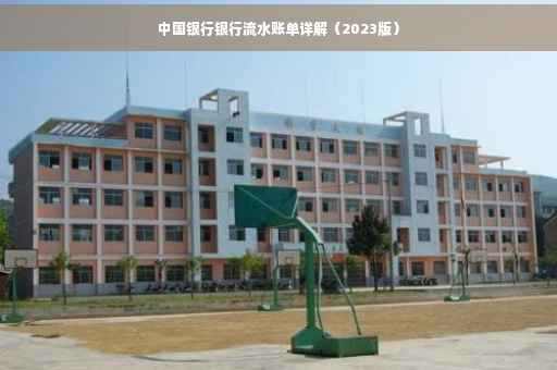 中国银行银行流水账单详解（2023版）