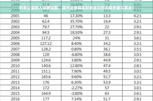 财务公章收入证明详解，揭示企业真实财务状况的关键步骤与要点?