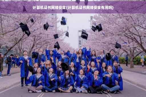 计算机证书网络安全(计算机证书网络安全有用吗)