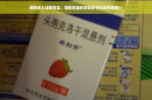 理赔收入证明核实，保障权益的关键环节与撰写指南??