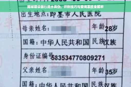 揭秘建设银行流水真伪，识别技巧与查询系统全解析