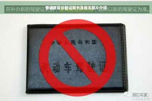 普通感冒诊断证明书及相关图片介绍