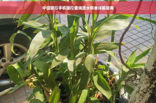 中信银行手机银行查询流水账单详解指南
