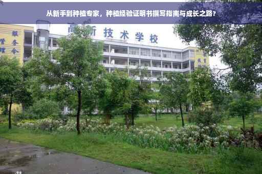 从新手到种植专家，种植经验证明书撰写指南与成长之路?