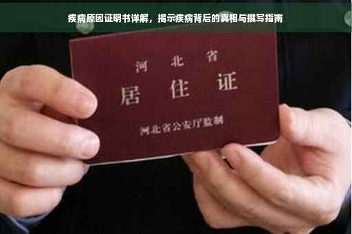 疾病原因证明书详解，揭示疾病背后的真相与撰写指南