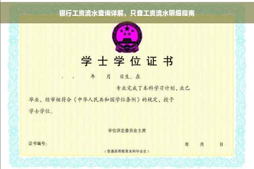 银行工资流水查询详解，只查工资流水明细指南