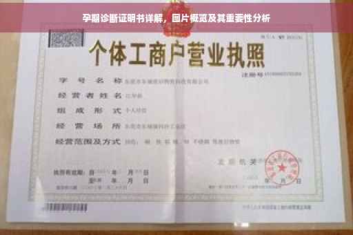 孕期诊断证明书详解，图片概览及其重要性分析
