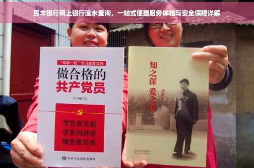 民丰银行网上银行流水查询，一站式便捷服务体验与安全保障详解