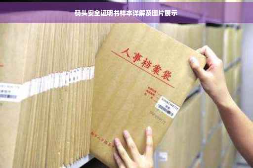 码头安全证明书样本详解及图片展示