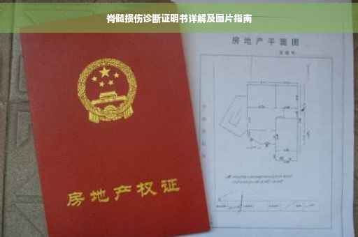 脊髓损伤诊断证明书详解及图片指南