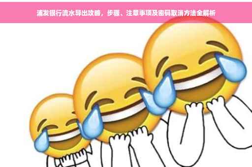 浦发银行流水导出攻略，步骤、注意事项及密码取消方法全解析