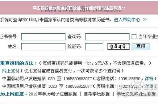 平安银行流水账单打印攻略，详细步骤与注意事项??