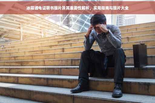 冰箱通电证明书图片及其重要性解析，实用指南与图片大全
