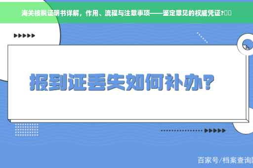 海关核税证明书详解，作用、流程与注意事项——鉴定意见的权威凭证?⚡️