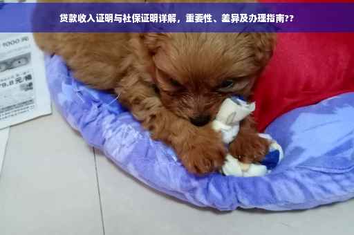 贷款收入证明与社保证明详解，重要性、差异及办理指南??