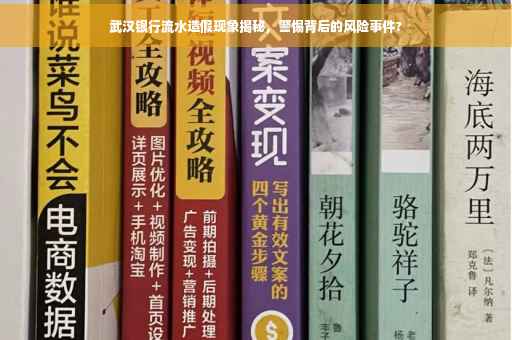 武汉银行流水造假现象揭秘，警惕背后的风险事件?