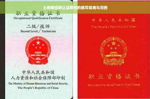 土地确权转让证明书的撰写指南与范例