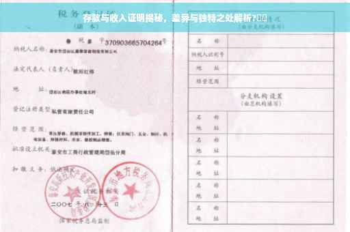 存款与收入证明揭秘，差异与独特之处解析?⚡️
