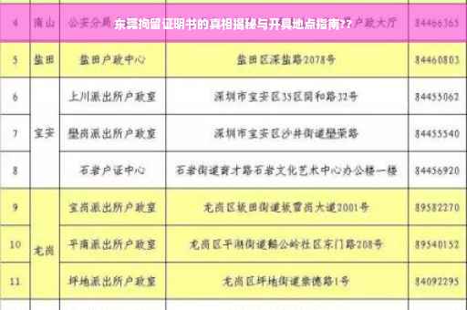 东莞拘留证明书的真相揭秘与开具地点指南??