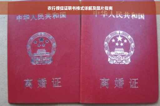 农行授信证明书格式详解及图片指南