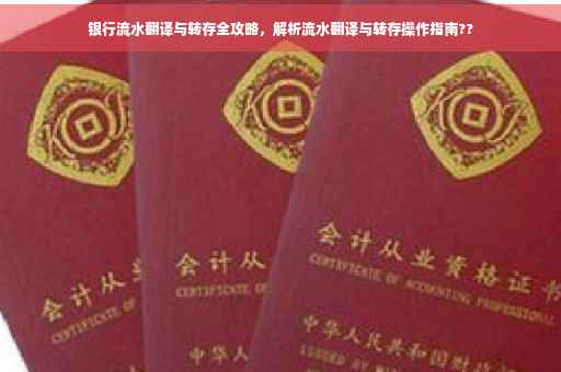 银行流水翻译与转存全攻略，解析流水翻译与转存操作指南??