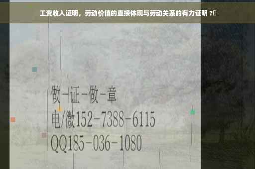 工资收入证明，劳动价值的直接体现与劳动关系的有力证明 ?✨