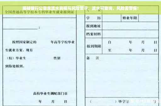 揭秘银行公章走流水真相与风险警示，流水可查询，风险需警惕！