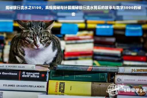 揭秘银行流水之5100，真相揭秘与计算揭秘银行流水背后的故事与数字5000的秘密