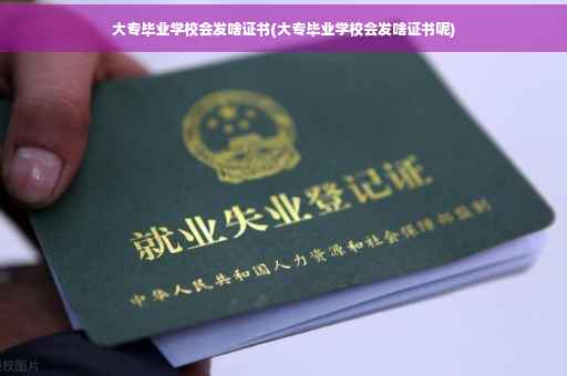 大专毕业学校会发啥证书(大专毕业学校会发啥证书呢)