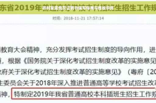 农村家庭情况证明书撰写指南与模板示例