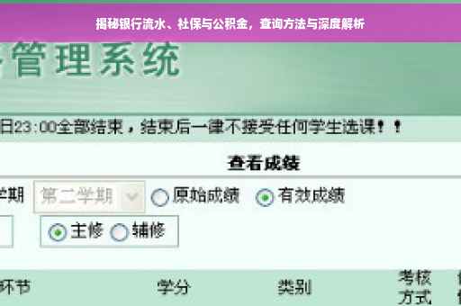 揭秘银行流水、社保与公积金，查询方法与深度解析