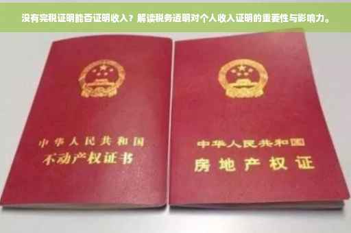 没有完税证明能否证明收入？解读税务透明对个人收入证明的重要性与影响力。