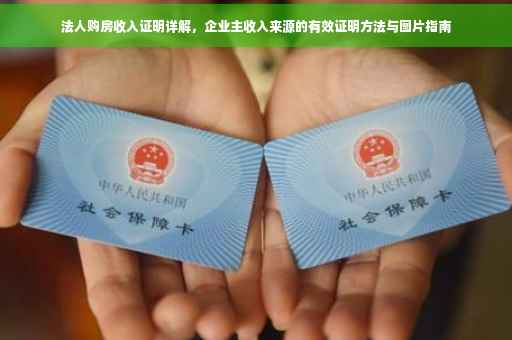 法人购房收入证明详解，企业主收入来源的有效证明方法与图片指南