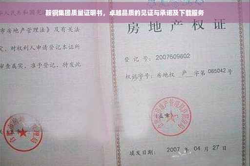 鞍钢集团质量证明书，卓越品质的见证与承诺及下载服务