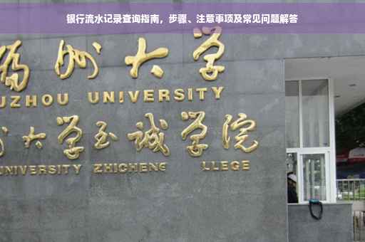 银行流水记录查询指南，步骤、注意事项及常见问题解答