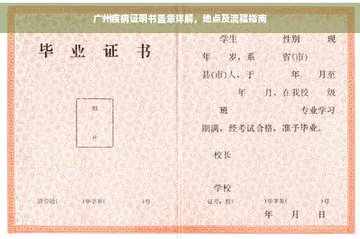 广州疾病证明书盖章详解，地点及流程指南