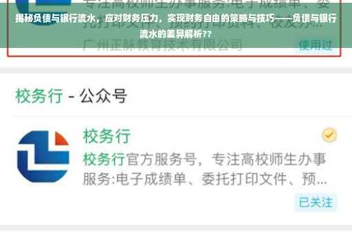 揭秘负债与银行流水，应对财务压力，实现财务自由的策略与技巧——负债与银行流水的差异解析??