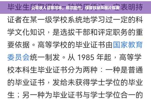 公司收入证明范本，规范操作，保障权益及图片指南