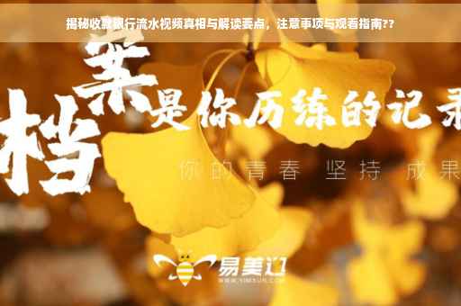 揭秘收款银行流水视频真相与解读要点，注意事项与观看指南??