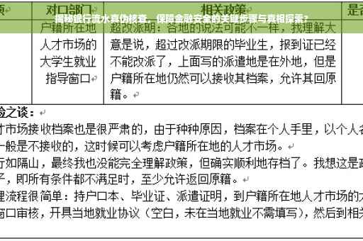 揭秘银行流水真伪核查，保障金融安全的关键步骤与真相探索?