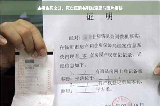 主播生死之谜，死亡证明书引发深思与图片揭秘