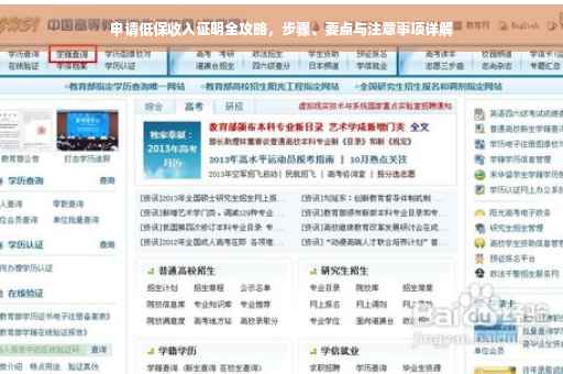申请低保收入证明全攻略，步骤、要点与注意事项详解
