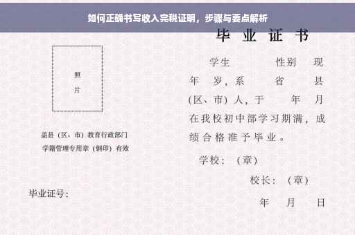 如何正确书写收入完税证明，步骤与要点解析
