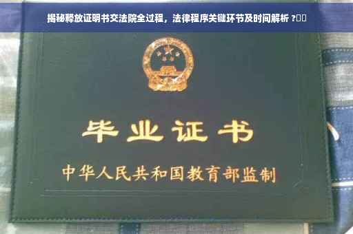 揭秘释放证明书交法院全过程，法律程序关键环节及时间解析 ?⚡️