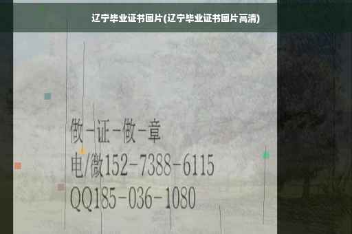 辽宁毕业证书图片(辽宁毕业证书图片高清)