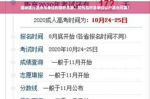 揭秘银行流水与单位的微妙关联，如何应对非单位公户流水问题？