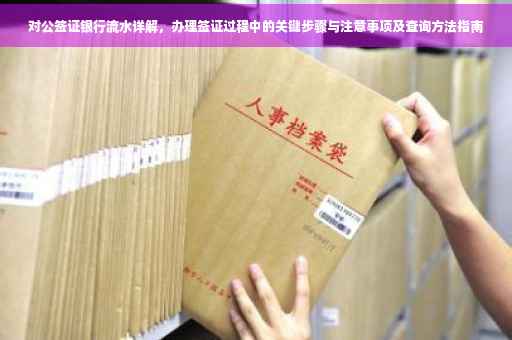 对公签证银行流水详解，办理签证过程中的关键步骤与注意事项及查询方法指南