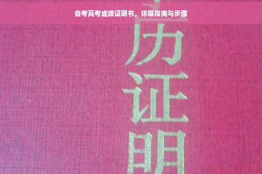 会考高考成绩证明书，详细指南与步骤