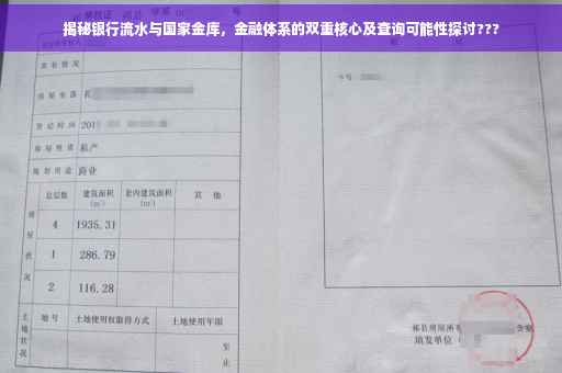 揭秘银行流水与国家金库，金融体系的双重核心及查询可能性探讨???